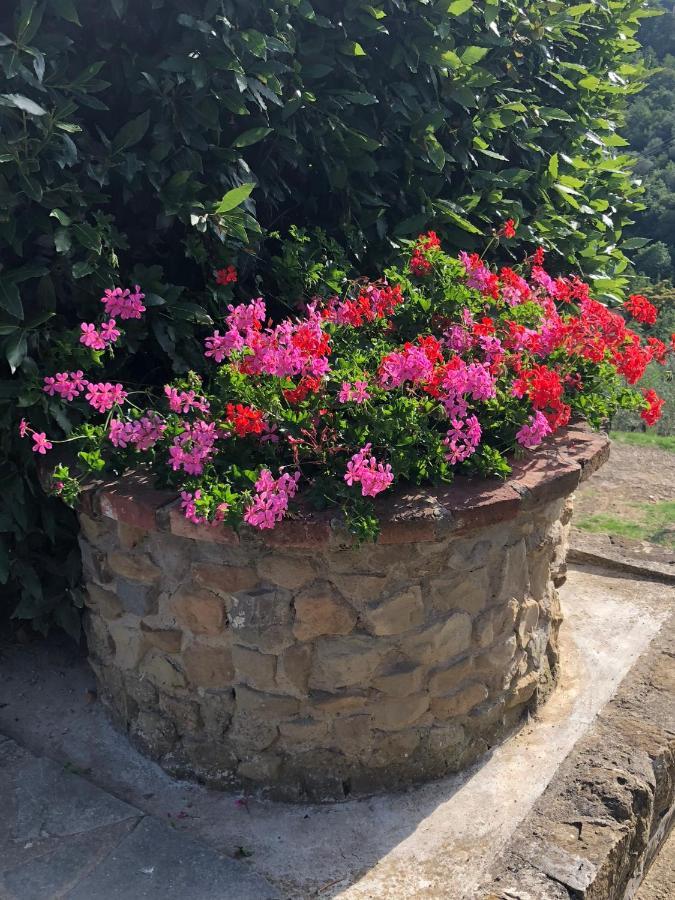 Agriturismo La Casella Castelfranco di Sopra Bagian luar foto